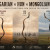 Hungarian vs Hun vs Mongolian Bows: Which Traditional Bow Should You Choose?